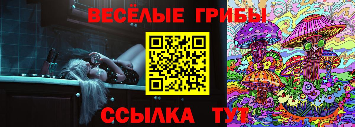 Псилоцибиновые грибы GOLDEN TEACHER Славянск-на-Кубани