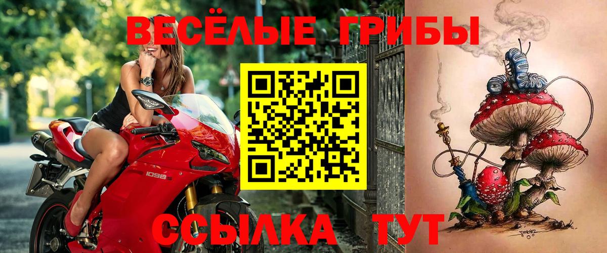 Славянск-на-Кубани  как найти наркотики  Вход с VPN  Галлюциногенные грибы Magic Shrooms 